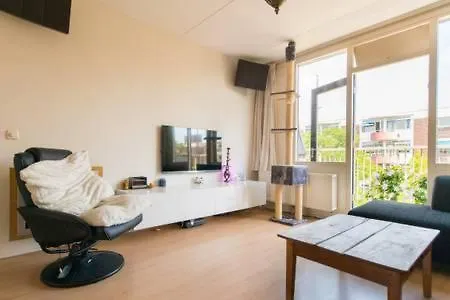 Sunny Floor In Center Amsterdam